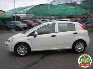 FIAT Punto usata, con Climatizzatore