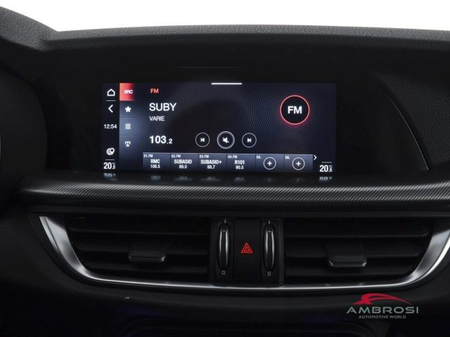 ALFA ROMEO Stelvio usata 13