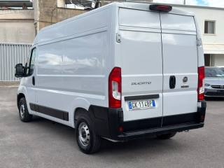 FIAT Ducato usata 16
