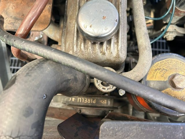 FIAT 1100 usata 9