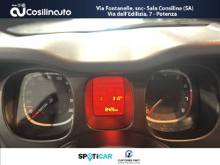 FIAT Panda usata, con Volante multifunzione