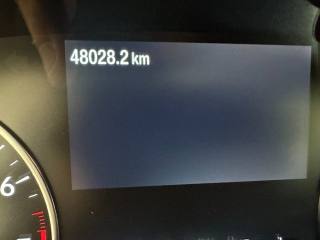 FORD EcoSport usata, con Volante in pelle