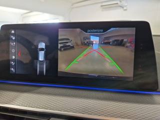 BMW 530 usata, con Vetri oscurati