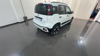 FIAT Panda Cross usata, con Alzacristalli elettrici