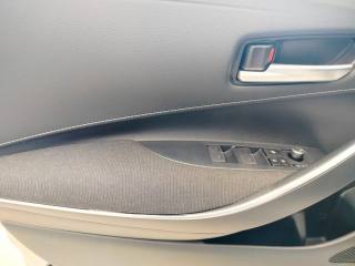 SUZUKI Swace usata, con Fendinebbia