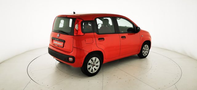 FIAT Panda usata 16