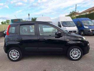 FIAT Panda usata, con Alzacristalli elettrici