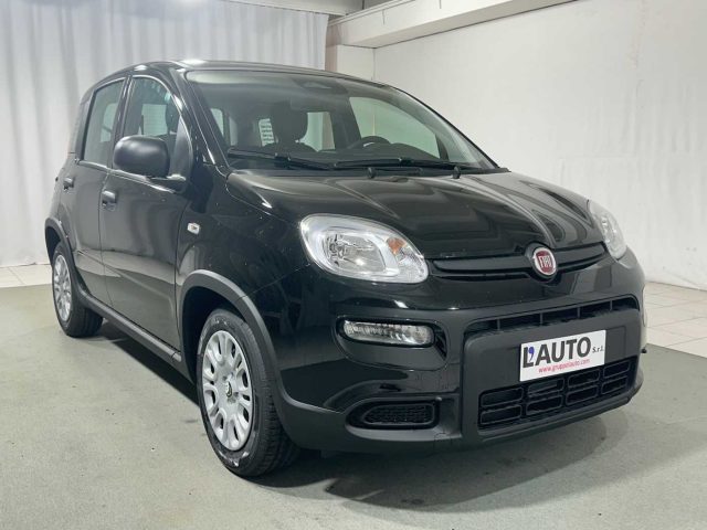 FIAT Panda usata, con Controllo trazione