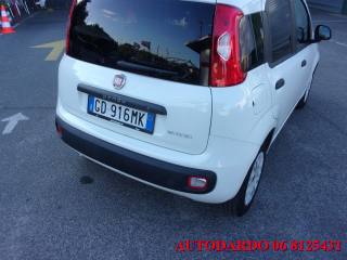 FIAT Panda usata, con Immobilizzatore elettronico