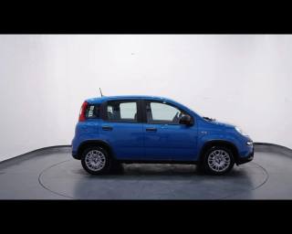 FIAT Panda usata, con Climatizzatore