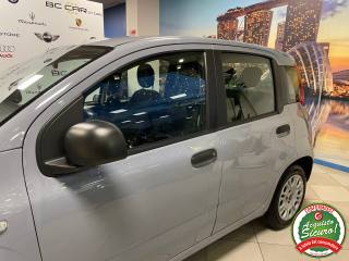 FIAT Panda usata 18