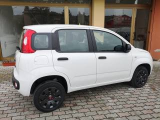 FIAT Panda usata, con Chiusura centralizzata