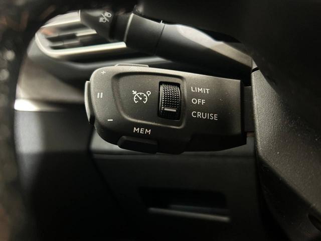 PEUGEOT 3008 usata, con Servosterzo