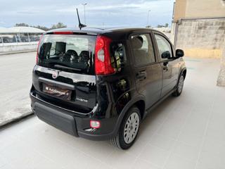 FIAT Panda usata, con Antifurto