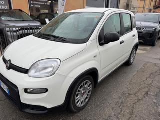 FIAT Panda usata, con Airbag Passeggero