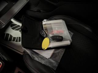 FORD EcoSport usata 28