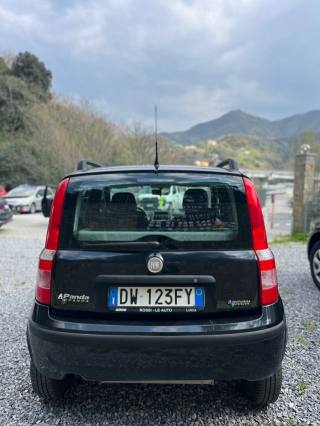 FIAT Panda usata, con Chiusura centralizzata