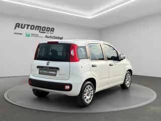 FIAT Panda usata, con Antifurto