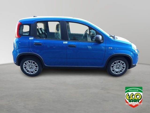 FIAT Panda usata, con Controllo trazione