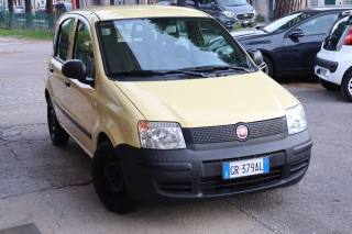 FIAT Panda usata 59