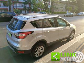 FORD Kuga usata, con Volante in pelle
