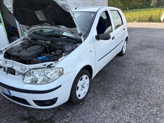 FIAT Punto usata 5