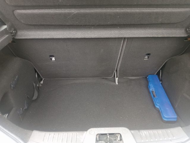 FORD Fiesta usata, con Bracciolo
