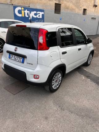 FIAT Panda usata, con Alzacristalli elettrici