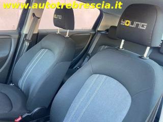 FIAT Punto usata 14