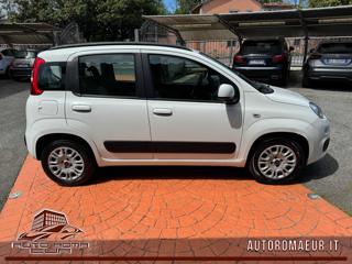 FIAT Panda usata, con Antifurto