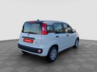 FIAT Panda usata 4