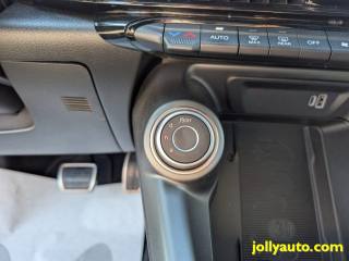 ALFA ROMEO Tonale usata, con Riconoscimento dei segnali stradali