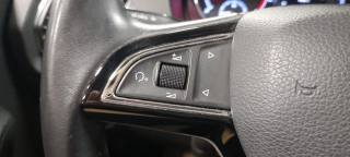 SKODA Fabia usata 23