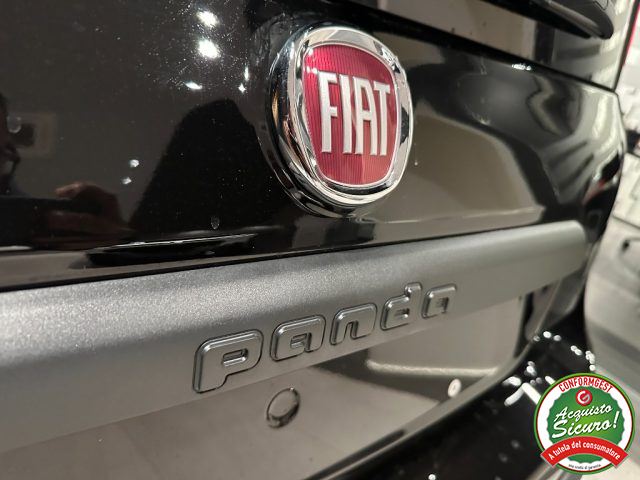 FIAT Panda usata, con Fendinebbia