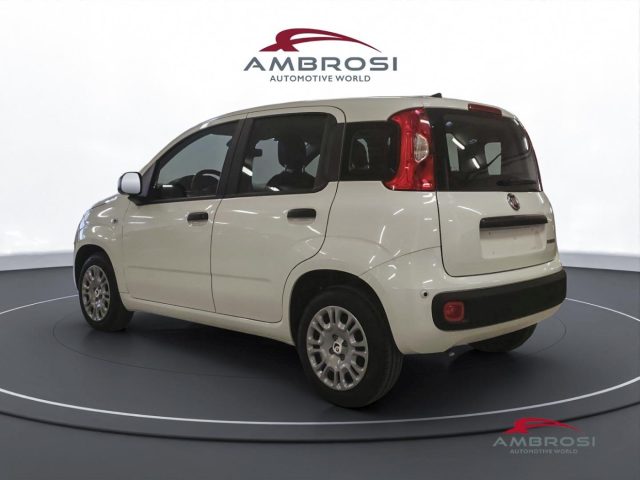 FIAT Panda usata 2