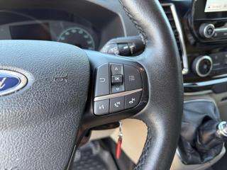 FORD Tourneo Custom usata, con Cronologia tagliandi