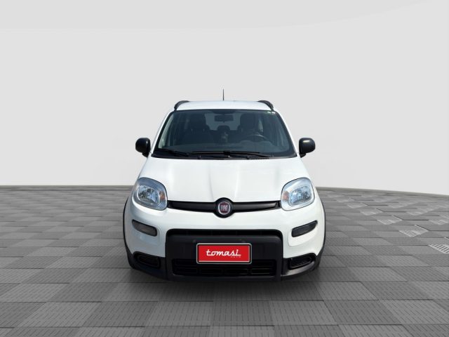 FIAT Panda usata 7