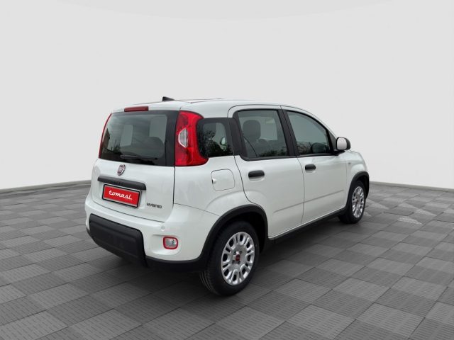 FIAT Panda usata 4