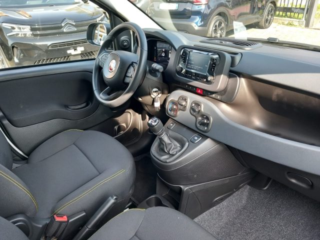 FIAT Panda usata 19