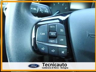 FORD Fiesta usata, con Autoradio digitale