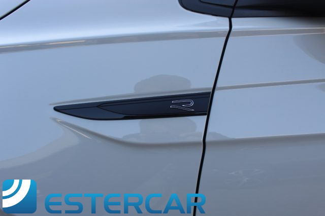 VOLKSWAGEN Polo usata, con Bracciolo