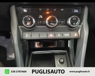 SKODA Karoq usata, con Autoradio digitale