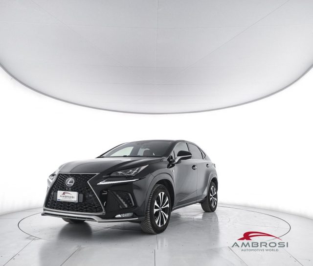 LEXUS NX 300h usata 0