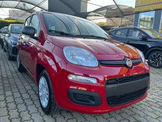 FIAT Panda 1.0 FireFly S&S Hybrid PRONTA CONSEGNA