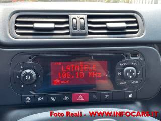 FIAT Panda usata 14