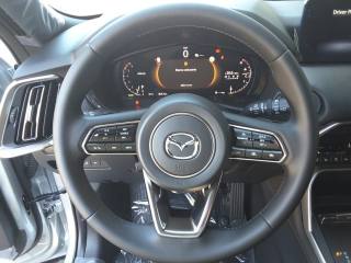 MAZDA CX-60 usata, con Boardcomputer