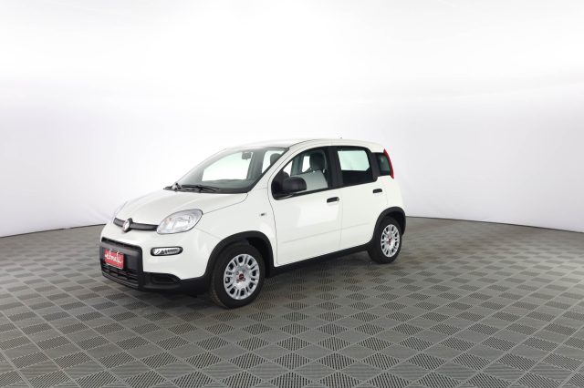 FIAT Panda usata 6