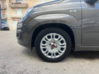 FIAT Panda usata, con Airbag testa