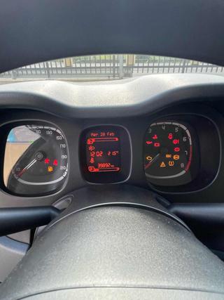 FIAT Panda usata 18