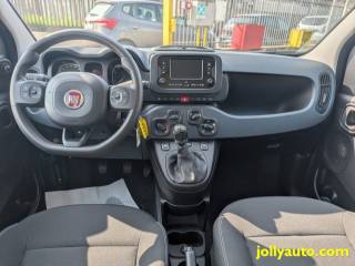 FIAT Panda usata 24